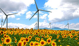 郡山布引風の高原