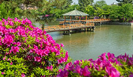 桑名城址(九華公園)