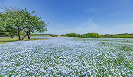 海の中道海浜公園