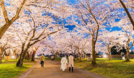 盛岡城跡公園(岩手公園)