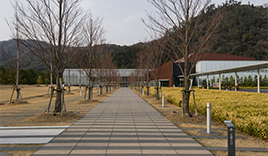 島根県立古代出雲歴史博物館